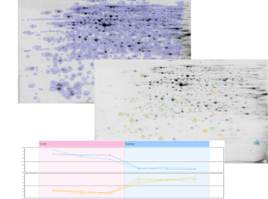 SameSpots_speed_2