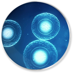 icon-label-free-enrichment.24f3dea9