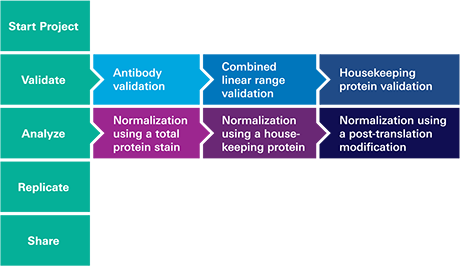 ES_qEB_workflow
