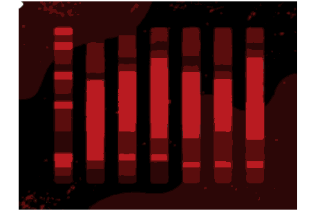 ES_ABS_animation