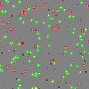 Mouse_spleen_primary