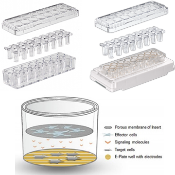 E-Plate_Insert_2
