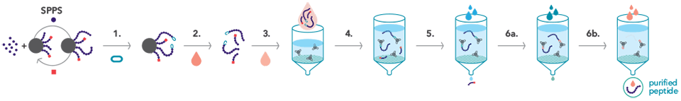 Detailed scheme of the PEC process using the PEC-Linker RC+