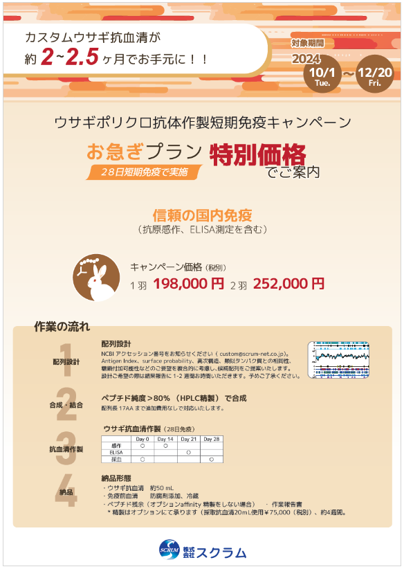 ウサギポリクロ抗体作製短期免疫キャンペーン