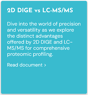 2D_DIGE_vs_LC-MS