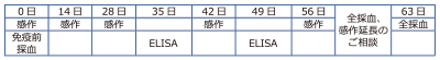 63day-1