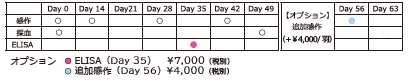 cam_colabo_schedule