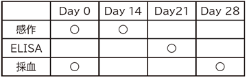 cam_colabo_speed_2018_schedule