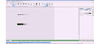 CDG_software_animation