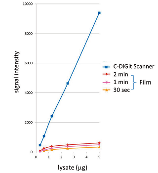 cdgt_vs_film_linearity