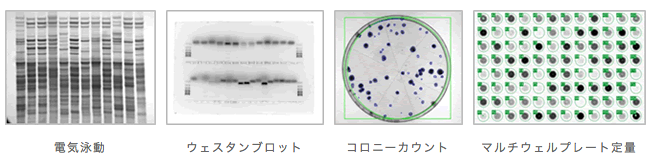 cliqs_electrophoresis