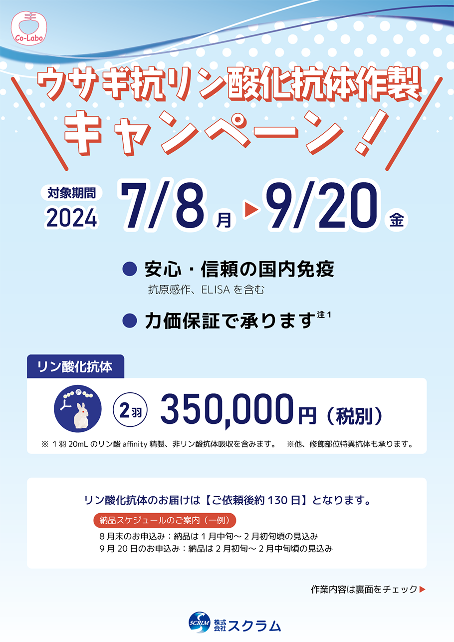 Co-lab_CampaignSummer2024_A4_flyer4c4c_final_omote
