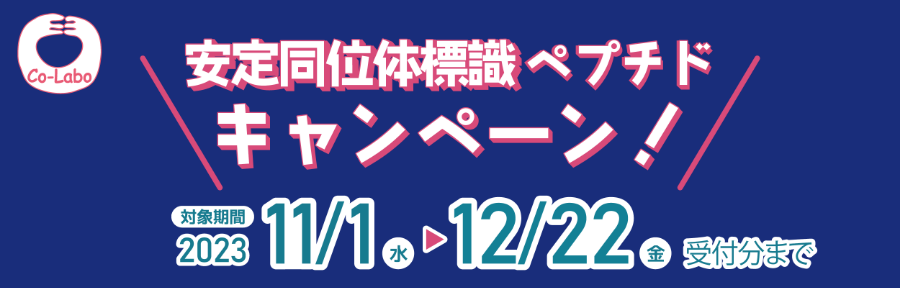 co-labo_2023EY_Campaign_pagebanner