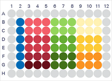 ES_in-cell-western