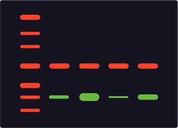 ES_western_blotting