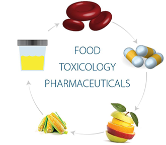 fv-food-circle