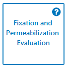 ICW_fixation_permeailization_evaluation