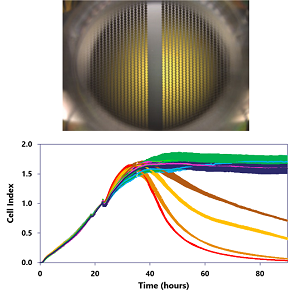 Impedance_data