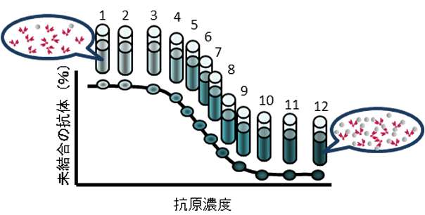 KinExA結合曲線