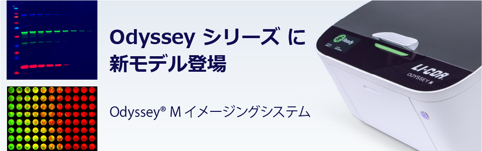 Odyssey M 新登場