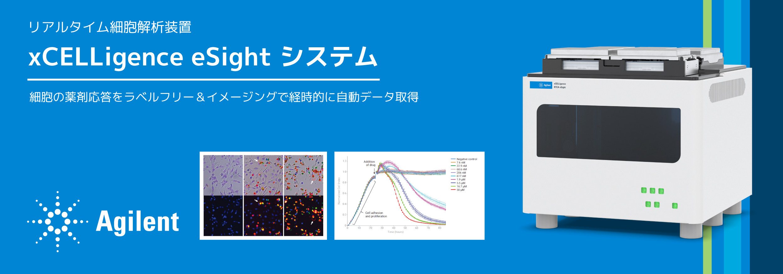 xCELLigence eSight