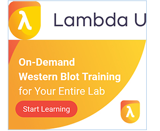 Lambda U_start learning_combined_edited