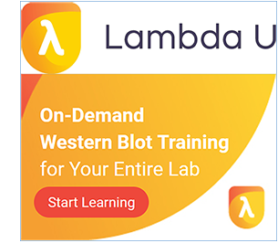 Lambda-U_start-learning_combined_edited