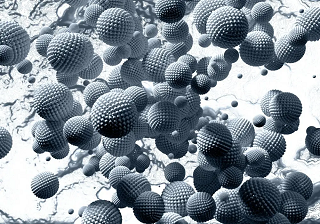 nanoparticle