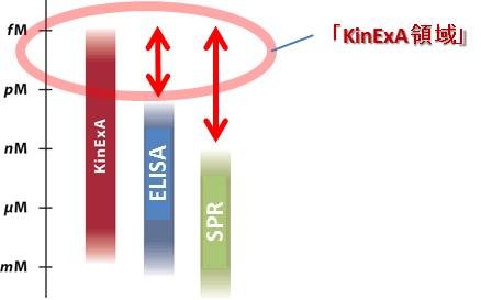 高親和性抗体をお持ちですか?