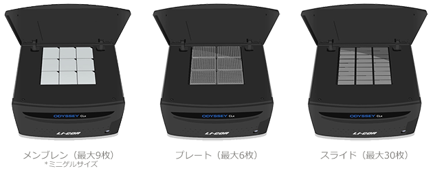 多彩なフォーマットに対応