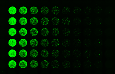 Odyssey_F_GFP