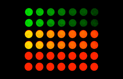Odyssey_F_ICW