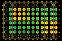 on-cell-western