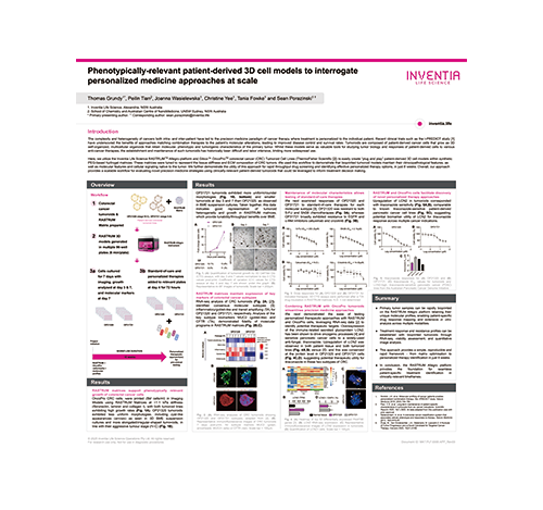 Phenotypically-relevant-patient-derived-3D-cell-models-to-interrogater