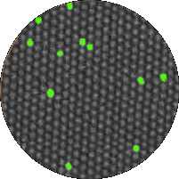 quanterix_detect