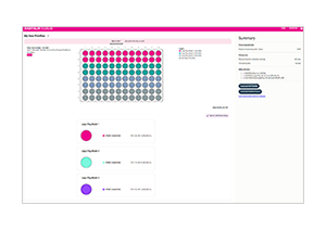 rastrum_cloud_software_300x212px