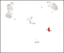 RNA-seq-3