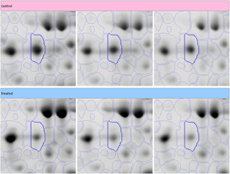 samespots_matching