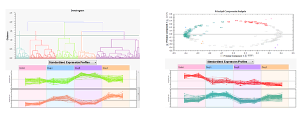 samespots_stats