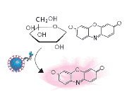 Simoa_bead_technology_step4