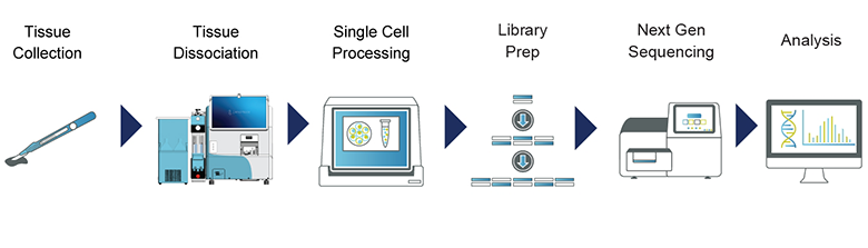 Single-cell-workflow-with-singulator