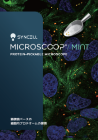 Syncell_catalog