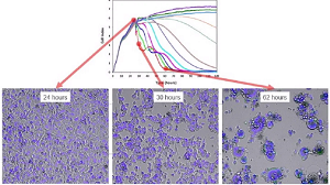 Virusmediated_Cytopathogenicity Application