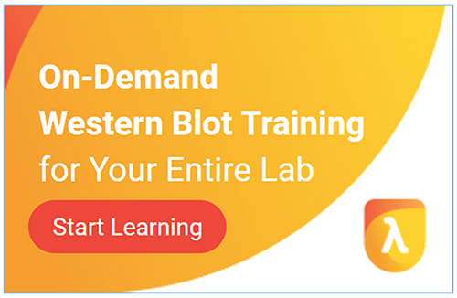 western_blot_training