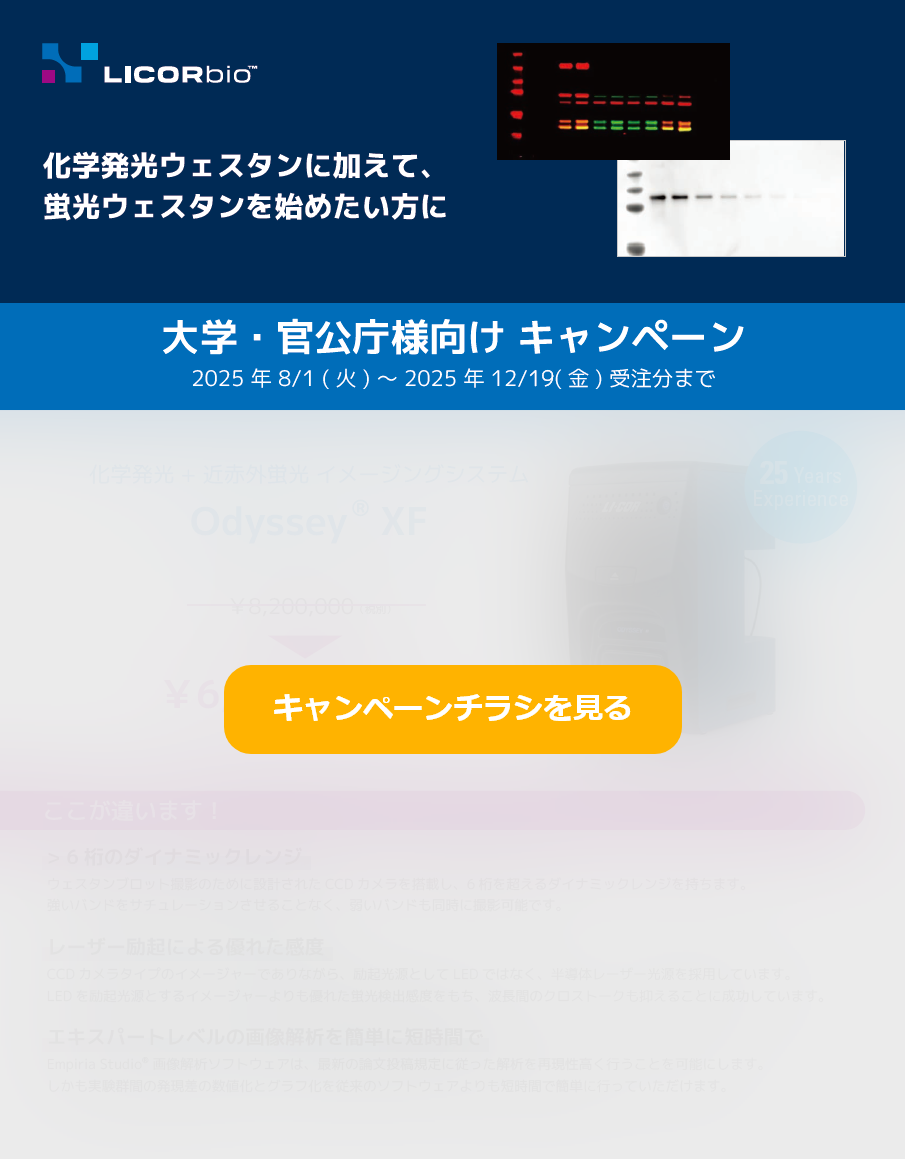 xf_campaign_flyer