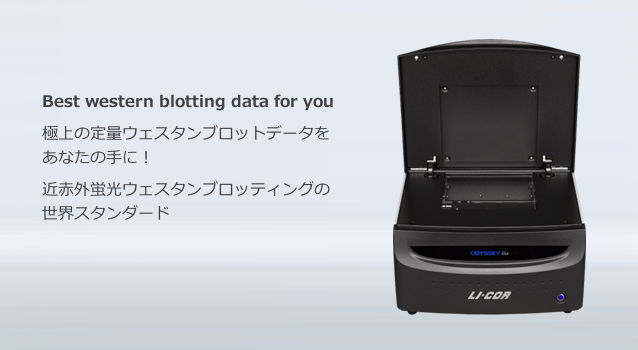 近赤外蛍光スキャナー Odyssey CLx イメージングシステム