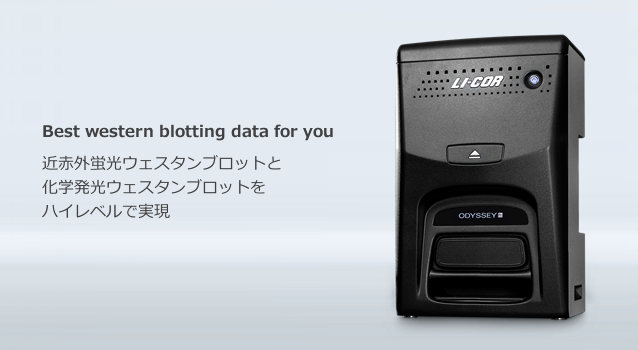 近赤外蛍光+化学発光CCDイメージングシステム
