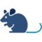 病理実験／動物実験／その他のバイオ実験